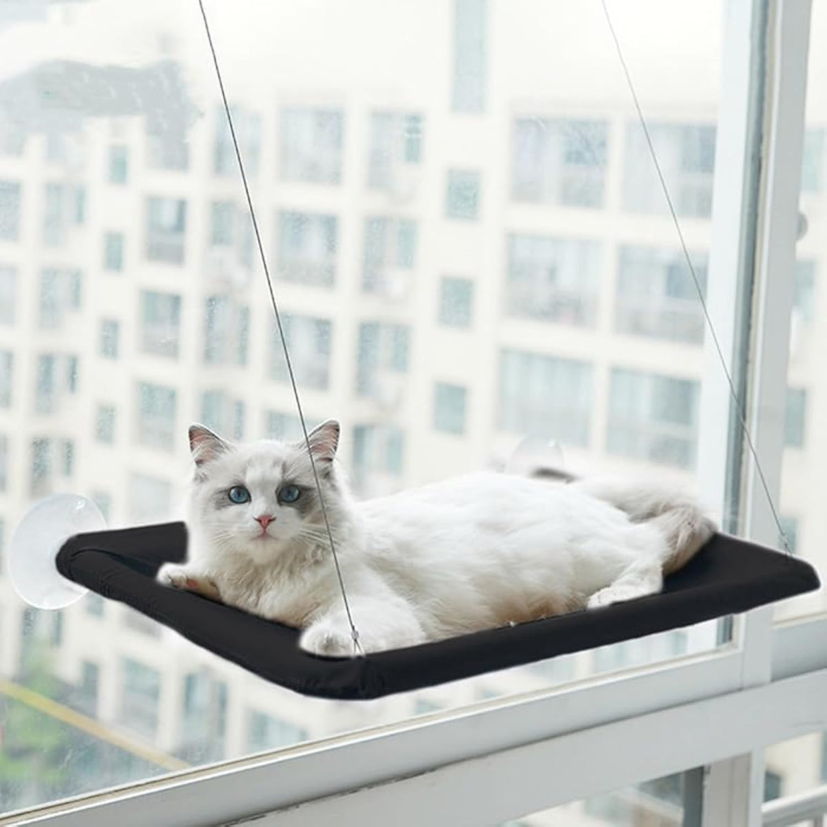 Black Cat Hammock for Window Cat Window Bed for Indoor Cats