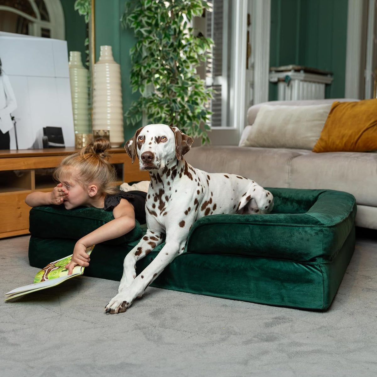 NOAH & PAW XL Dog Bed, 45X35X11 Inch, Orthopedic Large Dog Beds, Eggshell Memory Foam Infused with Cooling Gel, Inner Cover, Water Resistant, Machine Washable