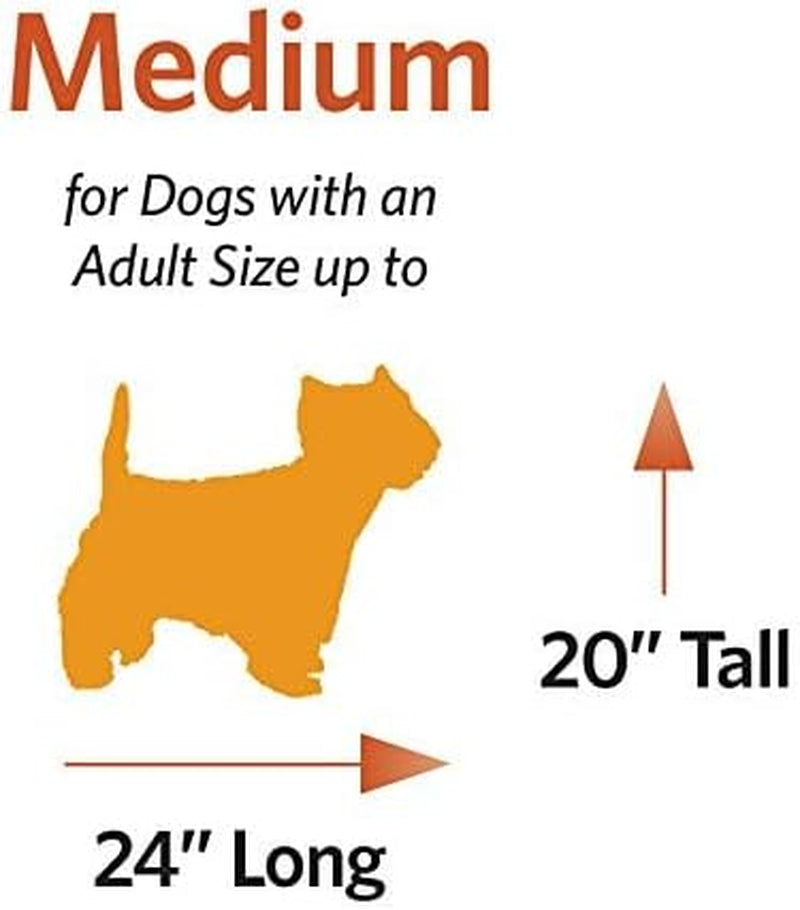Midwest Homes for Pets 30-Inch Icrate for Medium Breeds, 21-40 Lbs, Single Door Folding Dog Crate with Divider Panel, Leak-Proof Tray & Secure Latch, Portable, Durable & Easy to Assemble