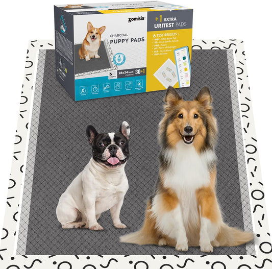 Charcoal Puppy Pee Pads for Dogs Extra Large, 28"X34" 30 Counts + 1 Extra Health Monitoring Pad - XL Dog Potty Training Pads Disposable, Odor-Control, Super Absorbent Leak-Proof