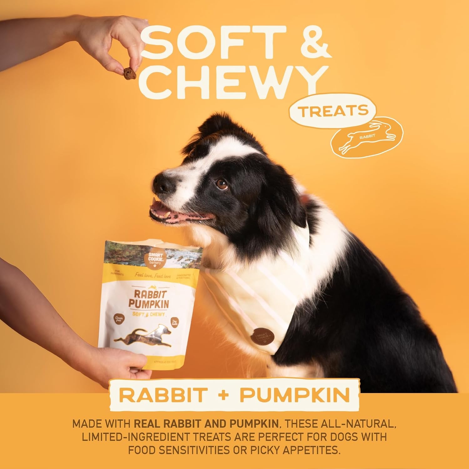 Smart Cookie All Natural Dog Treats - Rabbit & Pumpkin - Training Treats for Dogs & Puppies with Allergies, Sensitive Stomachs - Soft Dog Treats, Grain Free, Chewy, Human-Grade, Made in USA - 5Oz Bag