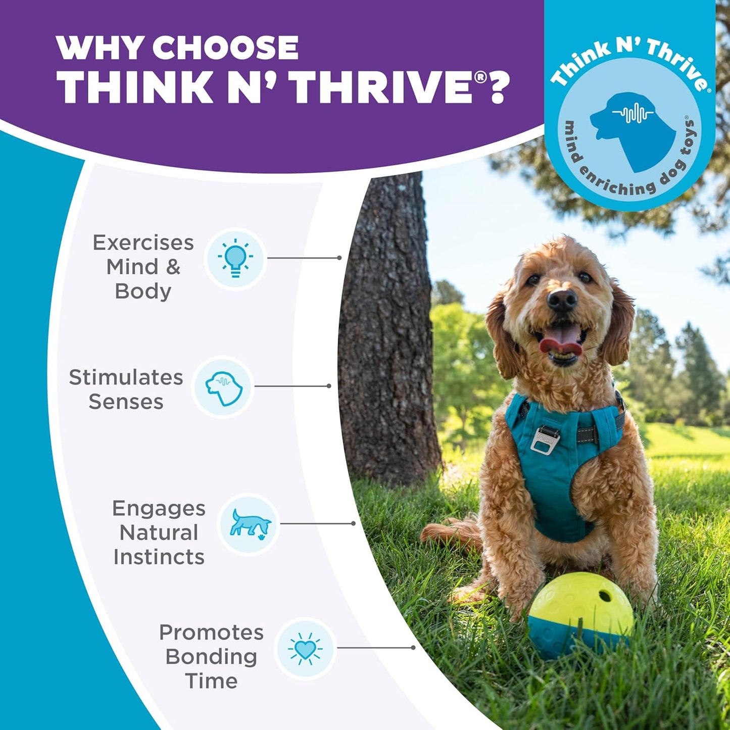 Outward Hound by Nina Ottosson Treat Tumble – Interactive Food-Dispensing Dog Puzzle Ball, Level 1 Beginner, Small, 4.8"