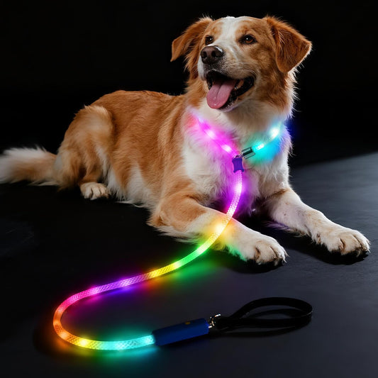 Xeuch Light up Dog Leash, LED Slip Lead Leash for Night Walking,13 Lighting Modes, Rechargeable Dog Lights, Glow in the Dark Walking Leashes with Padded Handle for Medium Large Dogs - 5 Ft