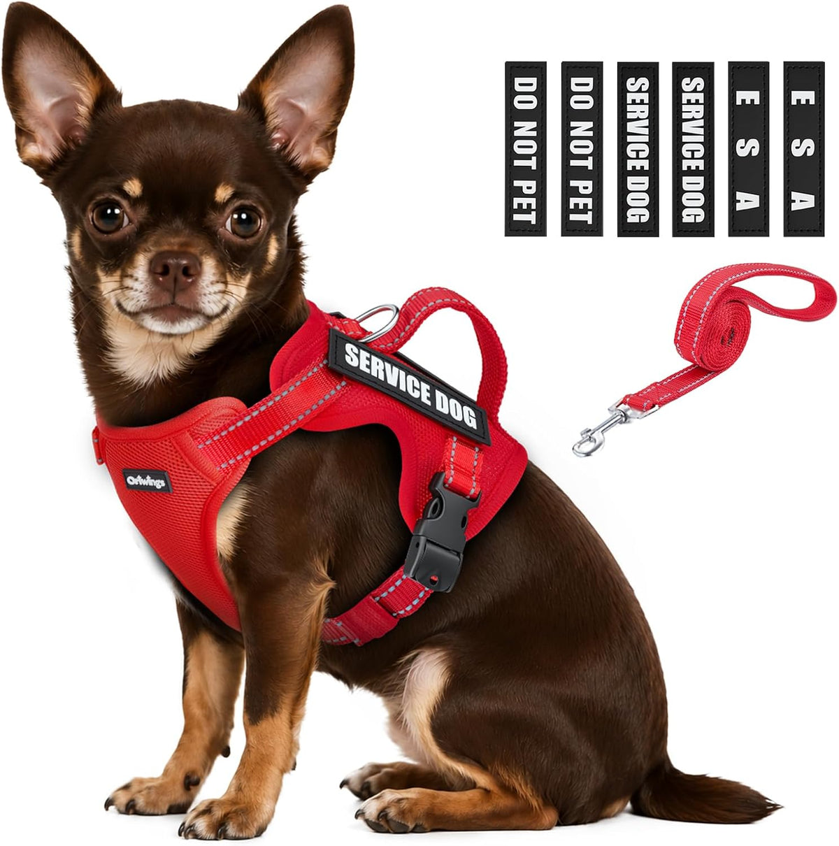 Service Dog Harness for Small Dogs with Leash & 6 Patches, Red, S