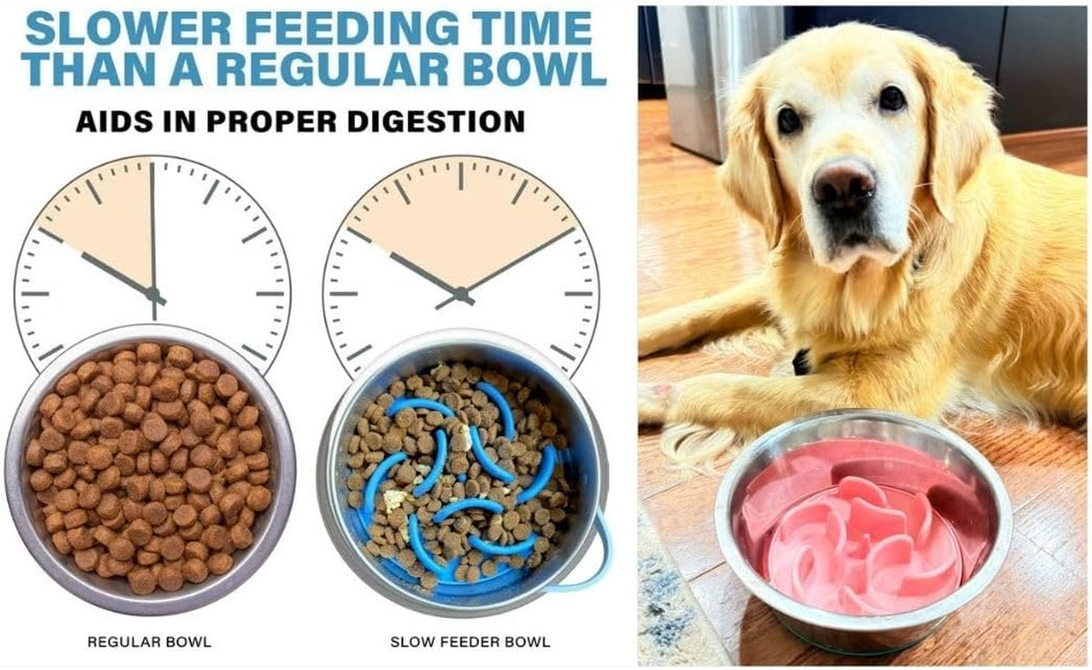 Blue Slow Feeder Travel Dog Bowl Set – 30Oz Stainless Steel + 20Oz Collapsible Silicone Dish + Silicone Slow Feeder Insert | Water Bottle Holder | Non-Slip, Anti-Choking, Bpa-Free – Claim