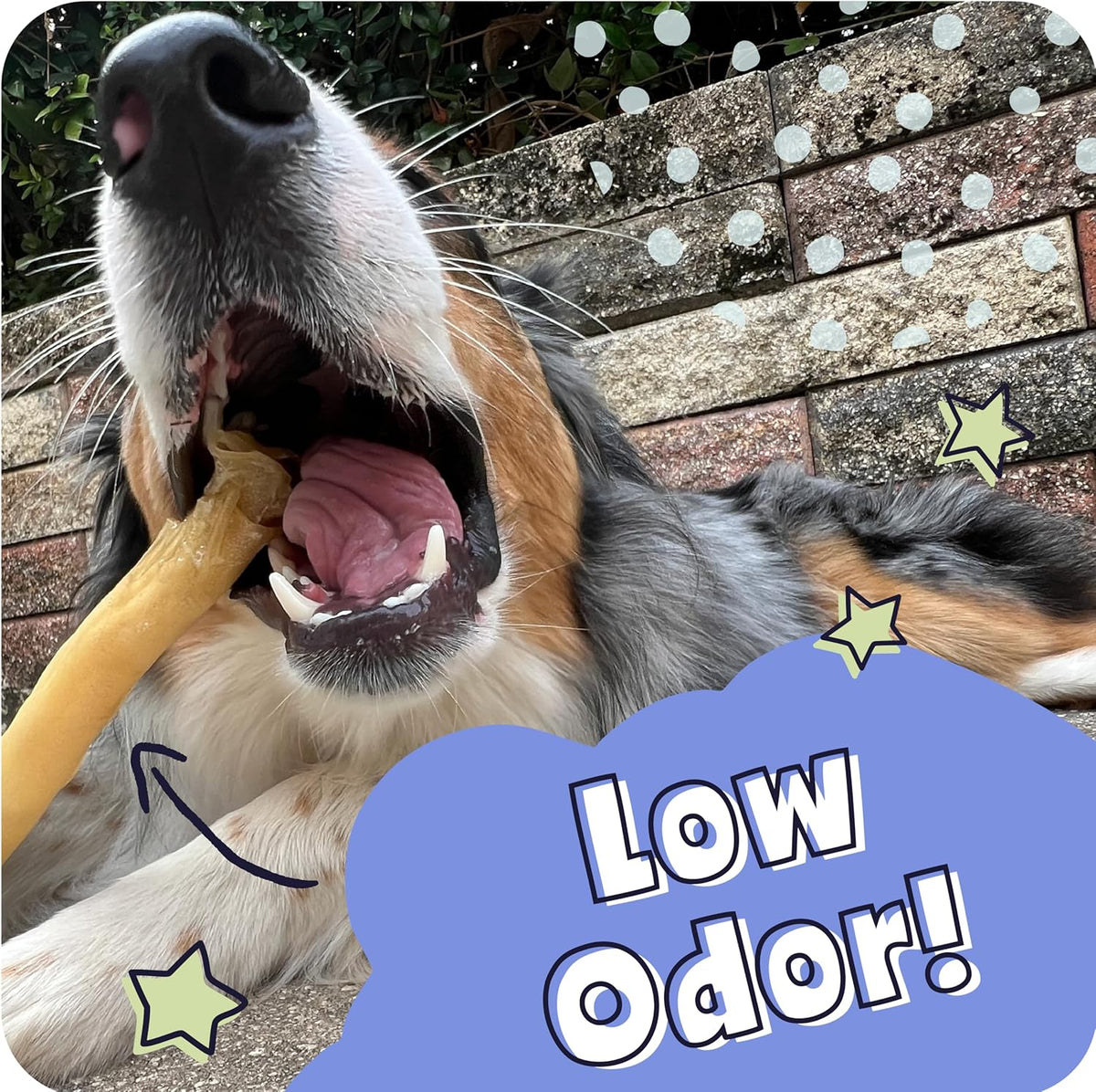 Pawstruck All Natural 5-6" Roasted Collagen Sticks for Dogs – Low Odor & Long-Lasting Bully Stick Alternative, Single Ingredient & Vet Approved – 10 Pack