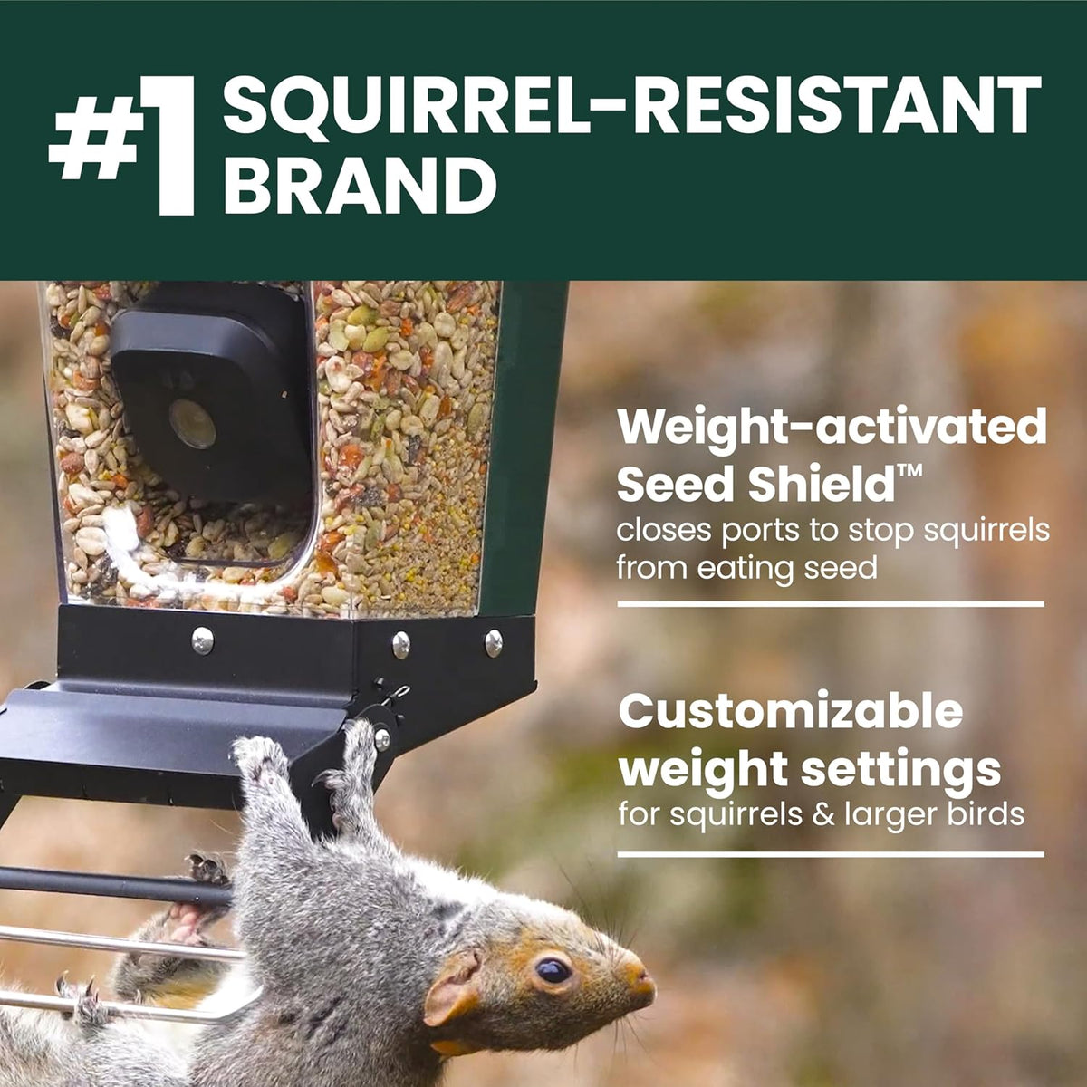 Perky-Pet Solar Powered Smart Bird Feeder with Camera, 3.2L Capacity