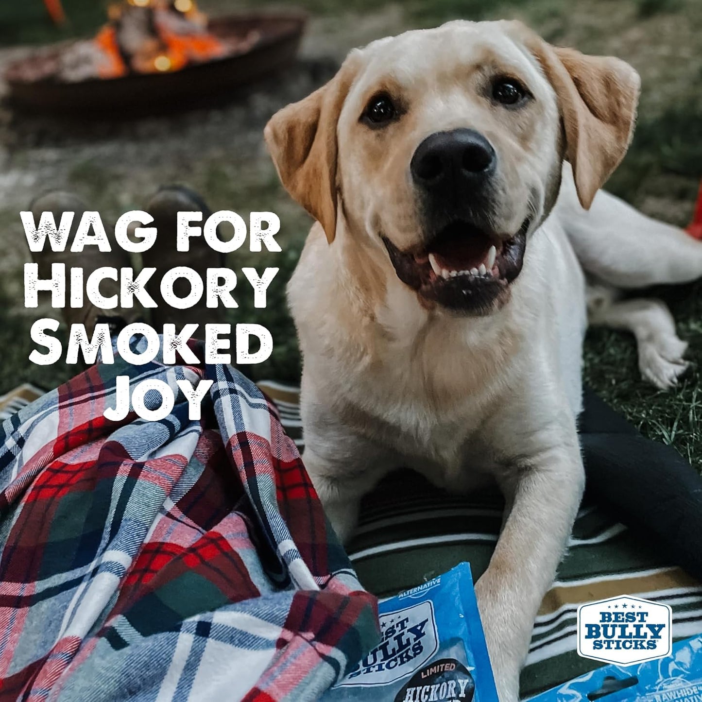 Premium Hickory Smoked Beef Burger Slider Treats - 1 Lb (Pack of 1) - 100% Natural Bully Sticks, No Additives, Bite-Sized, Easily Digestible