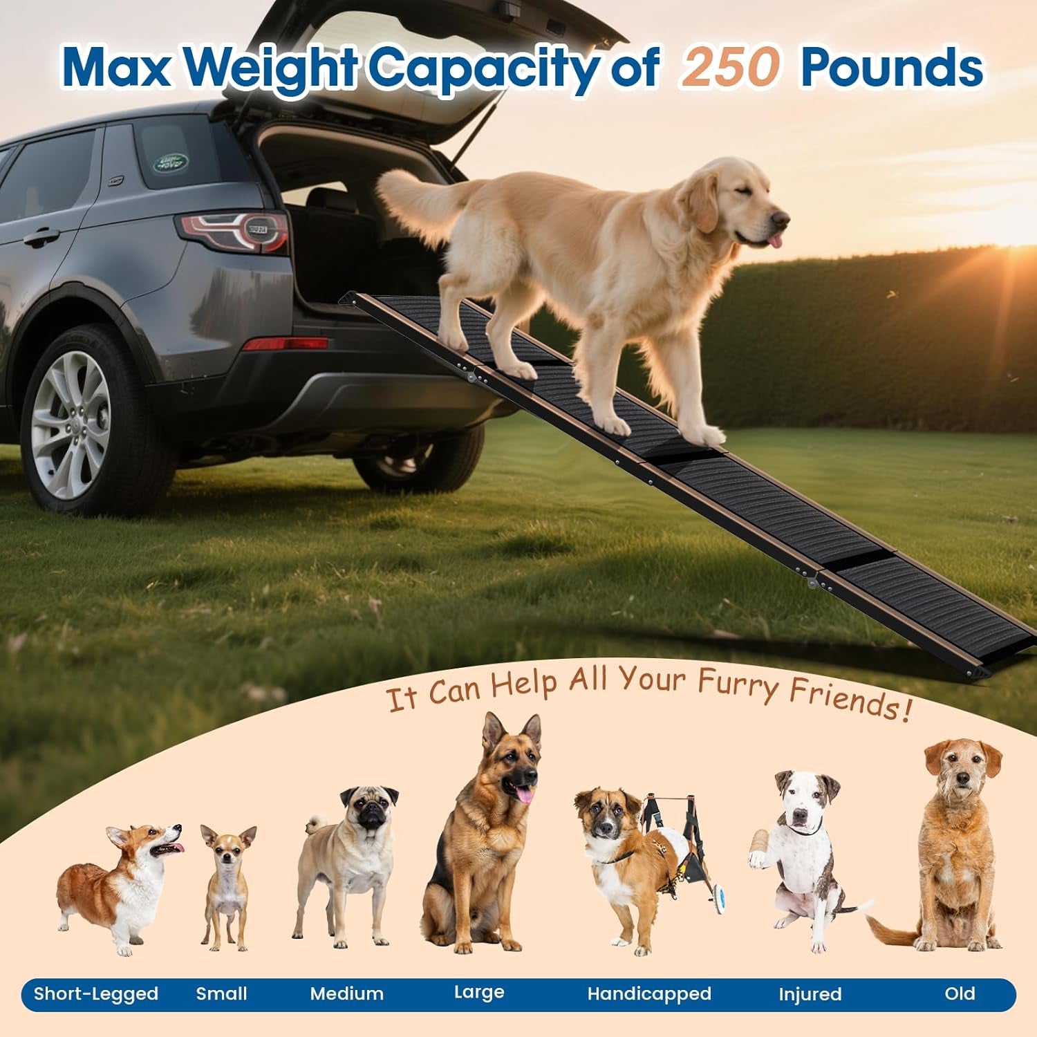 Hbtower 63" Long & 17.3" Wide Folding Dog Ramp for Car, SUV & Truck – Portable Pet Ramp with Non-Slip Surface, Extra Wide Steps for Large Dogs up to 250LBS