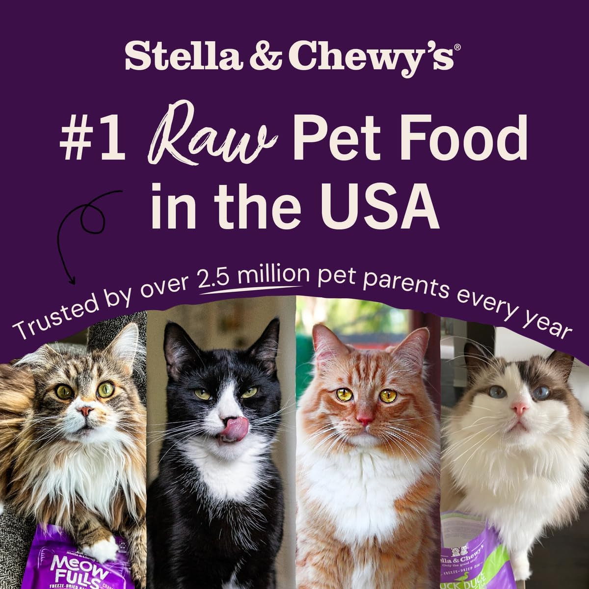 Stella & Chewy'S Freeze-Dried Raw Cat Dinner Morsels - Premium Chicken Recipe with 98% Cage-Free Meat & Organs - Natural Grain-Free Cat & Kitten Food - Made in USA - 3.5 Oz