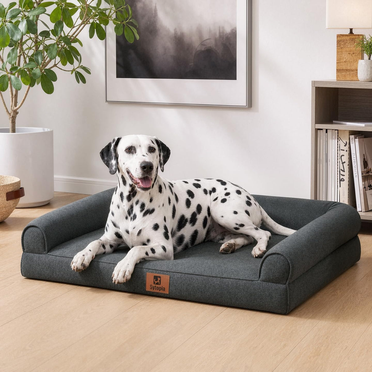 42 Inch Orthopedic Indestructible Dog Bed for Extra Large Dogs, Waterproof Chew Proof Pet Couch Bed with Sides, Egg Crate Foam with Removable Washable Cover, Dark Grey