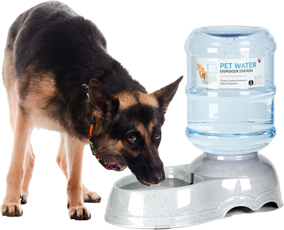 3 Gallon Dog Water Dispenser for Large Dogs, Automatic Gravity Pet Water Station, Large Capacity Pet Drinking for Lage Dogs and Multi-Pet, Anti-Slip Base, Bpa-Free