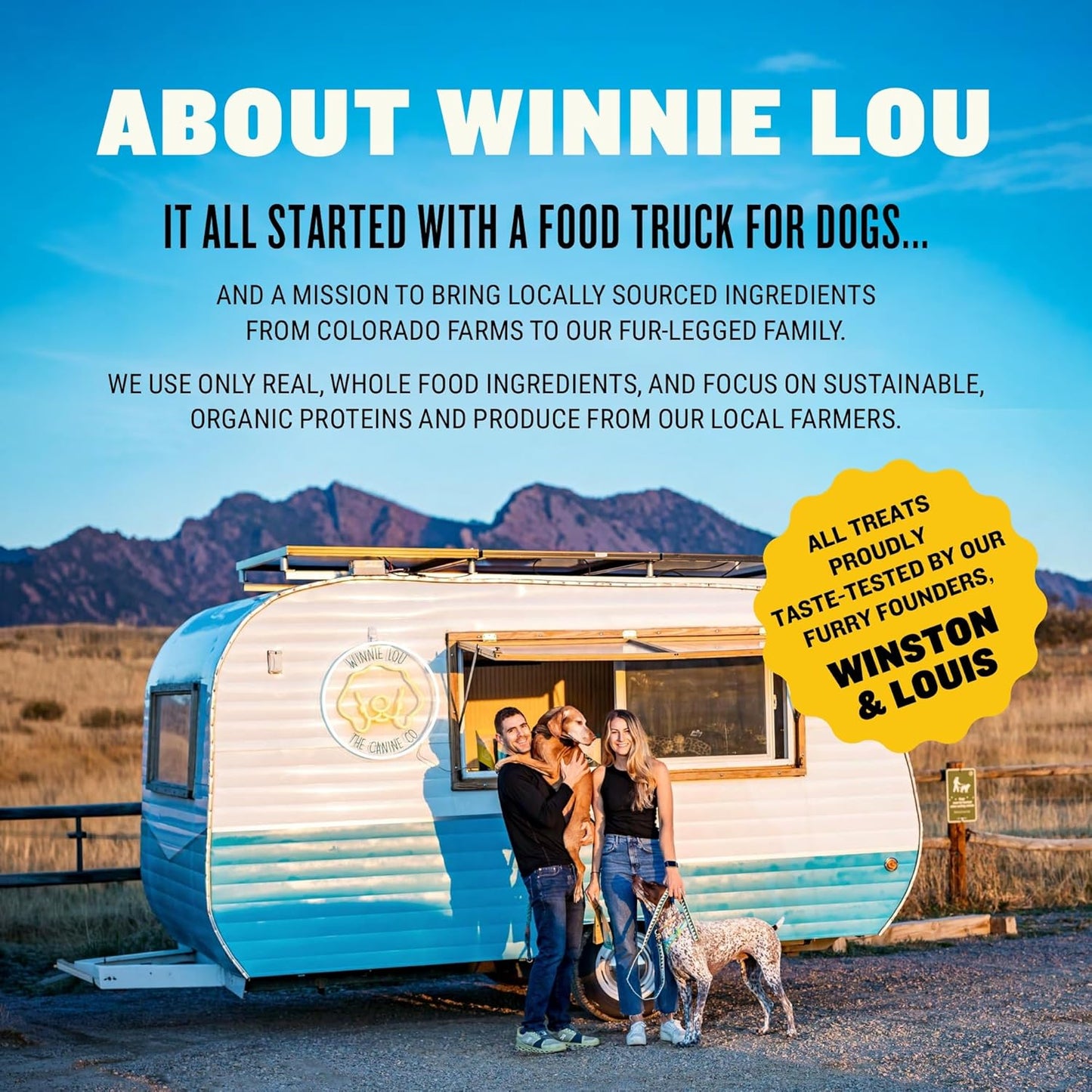 Winnie Lou Organic Dog Treats – Natural Dog Biscuits, USA Made, Organic Ingredients, Clean, Sensative Stomach, All Breed Sizes, High Protein, Hypoallergenic, Berry Boost Bones (Pack of 2)