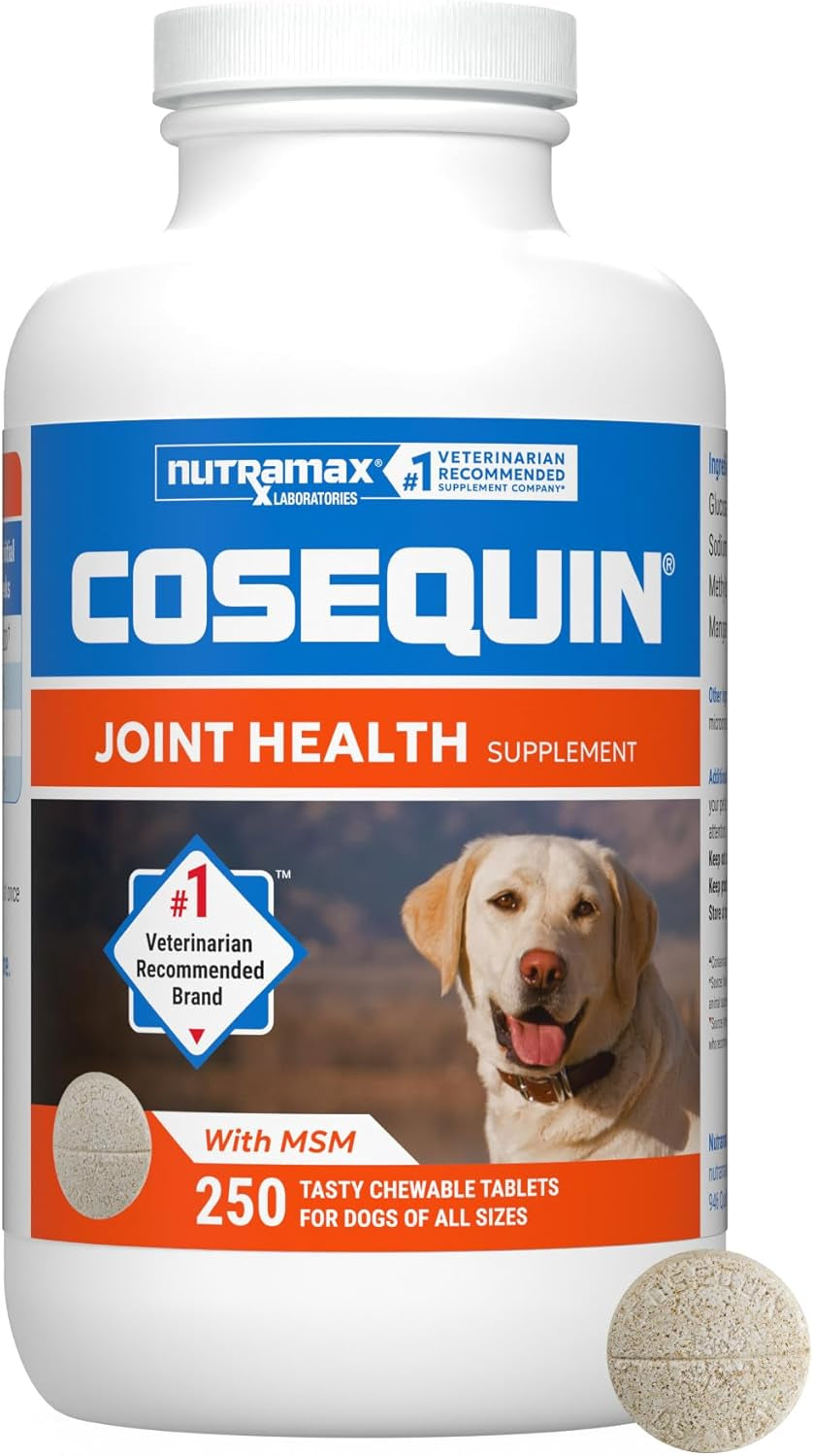 Nutramax Cosequin for Dogs Joint Health Supplement, Contains Glucosamine for Dogs, plus Chondroitin and MSM, Supports Healthy Joints, Chewable Tablets, 250 Count