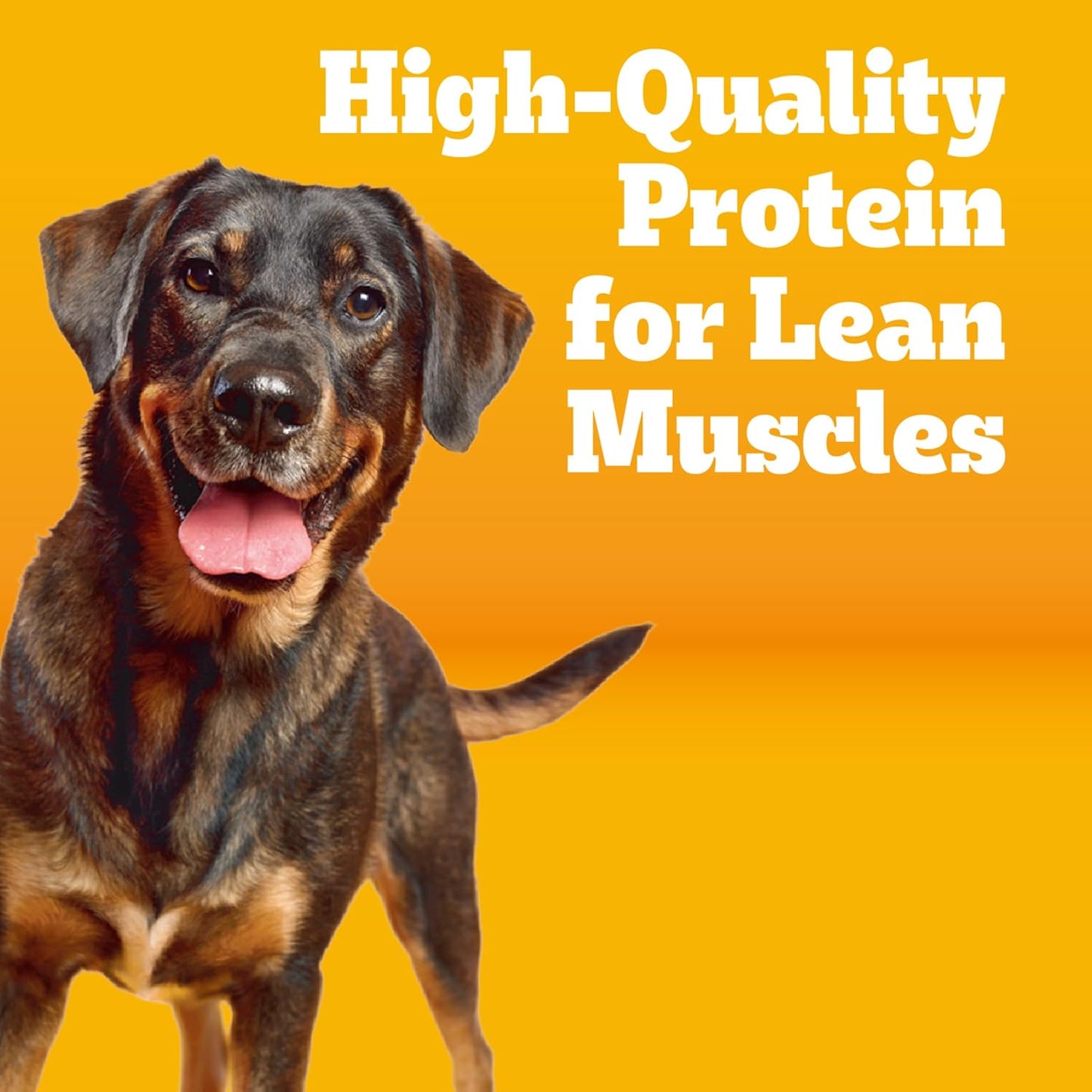 Pedigree Healthy Weight Adult Dry Dog Food, Roasted Chicken and Vegetable Flavor, 14 Lb. Bag