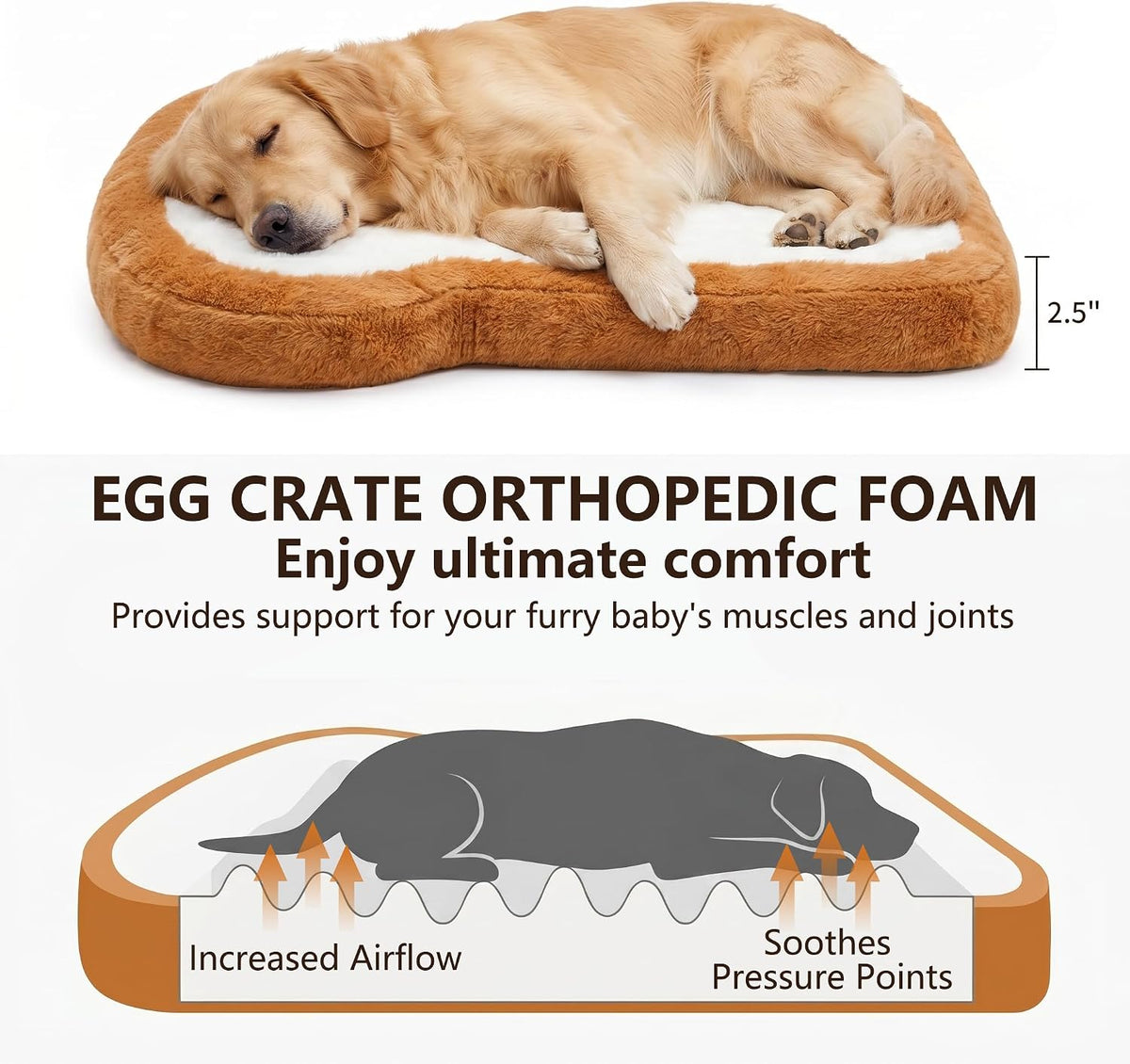 Dog Beds for Small Dogs, Toast Shaped Dog Bed Mats with Orthopedic Foam, Machine Washable Non-Slip Pet Bed, Plush Soft Small Puppy Bed for Indoor