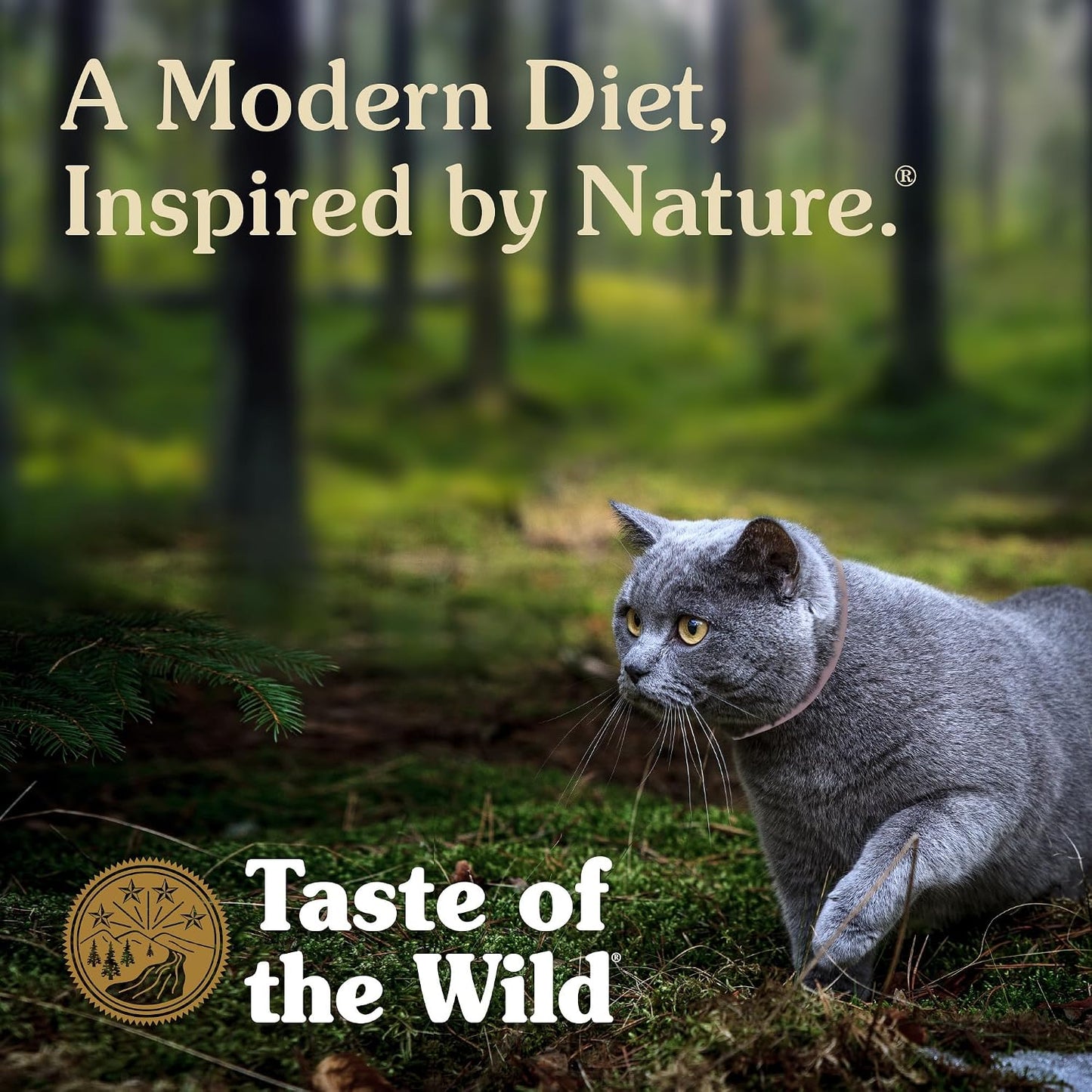 Taste of the Wild Rocky Mountain All Life Stages High Protein Grain-Free Recipe with Roasted Venison & Smoke-Flavored Salmon Dry Cat Food 14Lb Bag