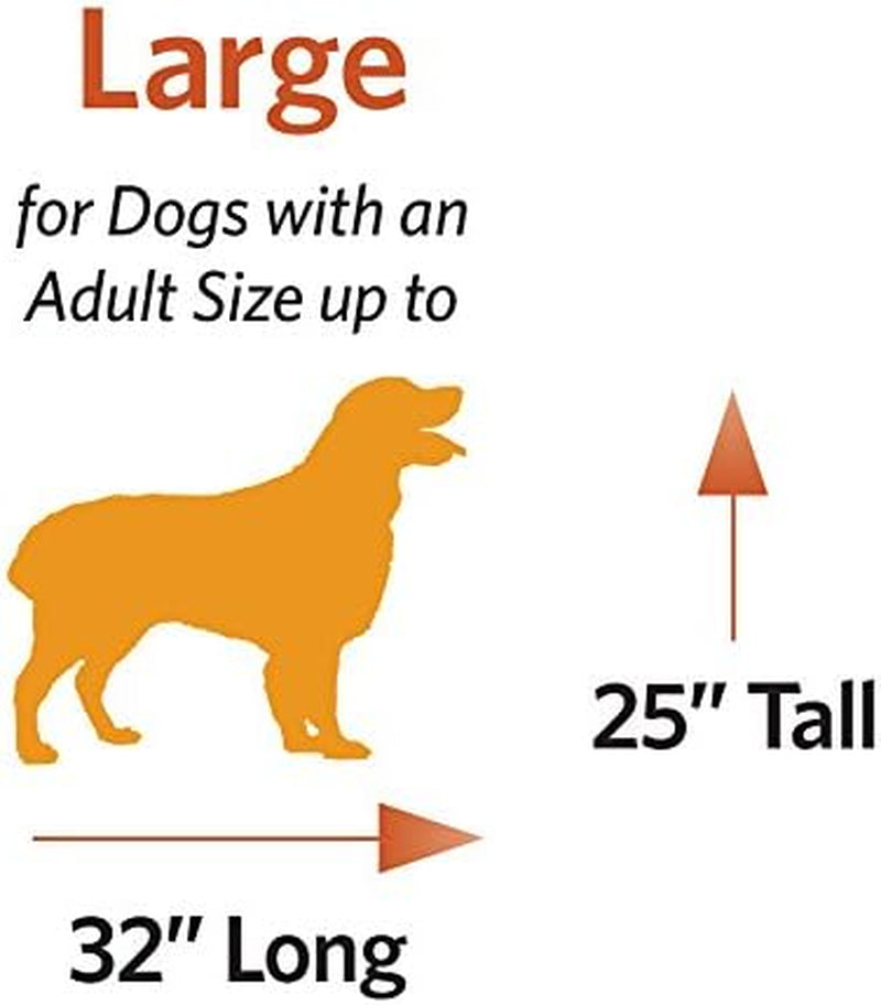 Midwest Homes for Pets 42-Inch Icrate for Large Breeds, 71-90 Lbs, Single Door Folding Dog Crate with Divider Panel, Leak-Proof Tray & Secure Latch, Portable, Durable & Easy to Assemble