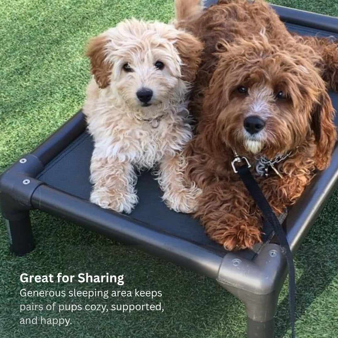 Kuranda Chewproof Elevated Dog Bed - Walnut PVC - 40" X 25" - Sunsure Textilene Outdoor Mesh - Sierra