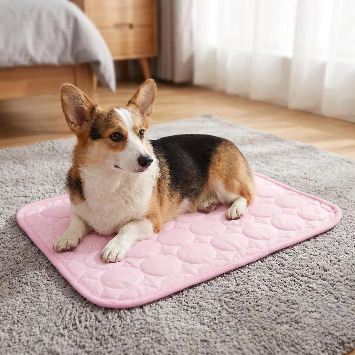 Dog Ice Mat 16X12 In, Pet Cooling Pad for Cats Small Summer Bed