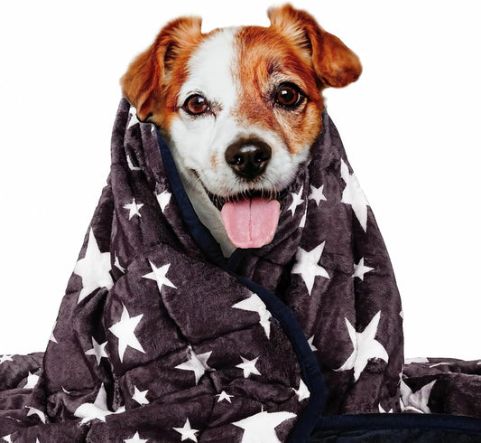 Lasyl Weighted Blanket for Pets | Thunder Blanket for Dogs Anxiety | Premium Soft Minky | Relaxation & Calming & anti Anxiety | Used in Car, Bed, Couch | Blue Grey Star, Washable Small (24"X32")