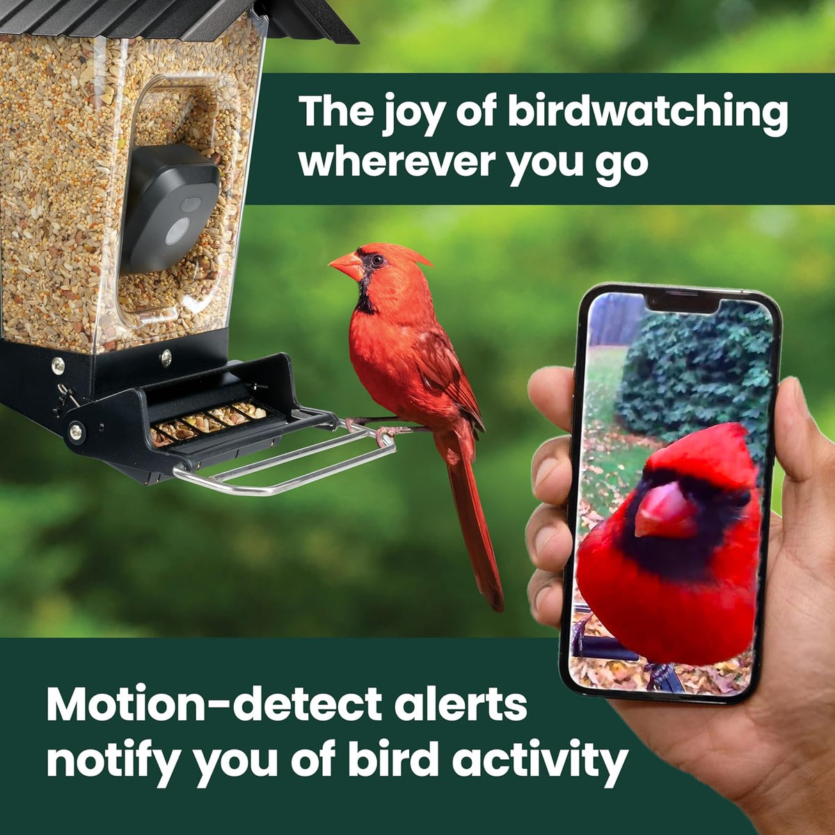 Perky-Pet Solar Powered Smart Bird Feeder with Camera, 3.2L Capacity