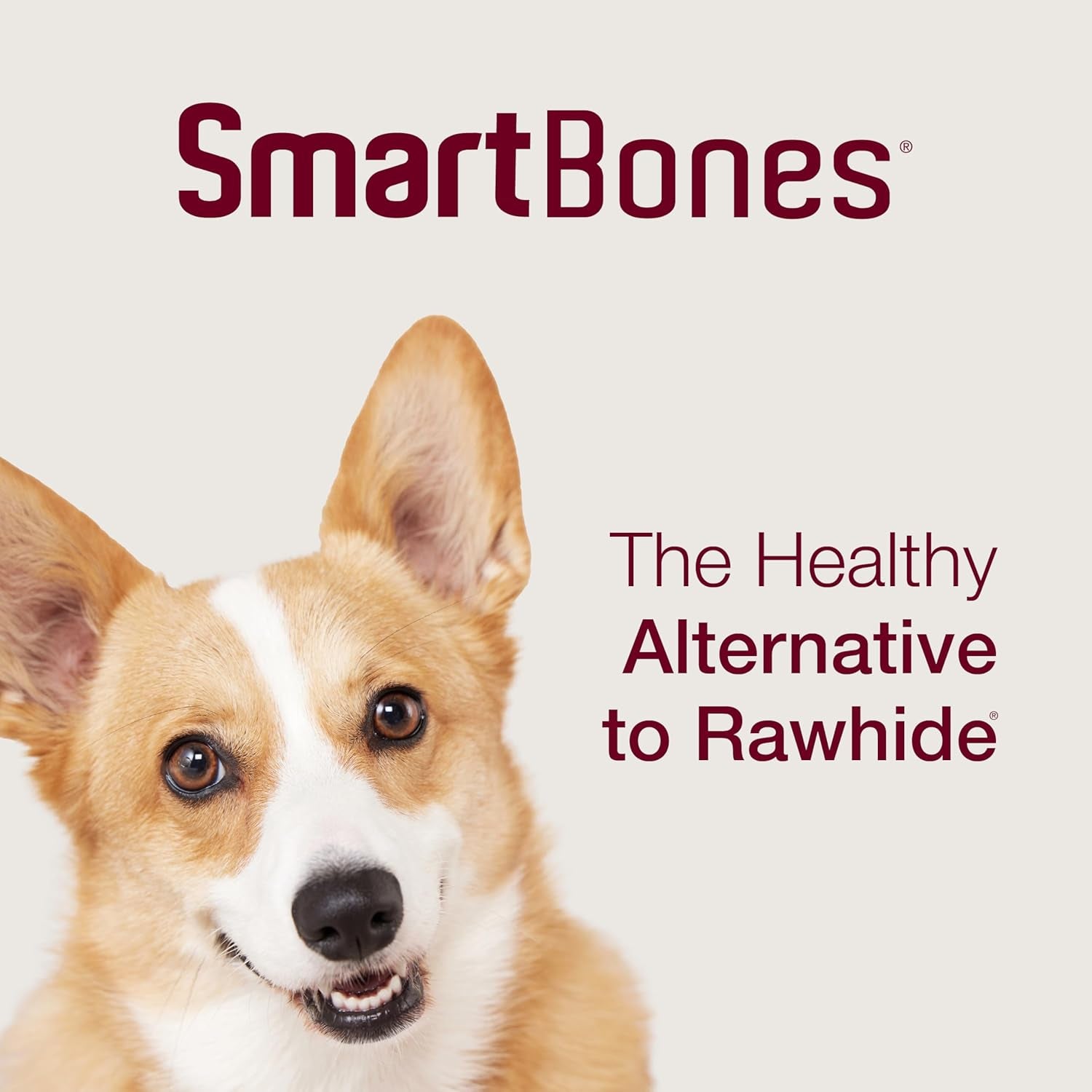 Smartbones Medium Bones with Real Peanut Butter Rawhide-Free Chews for Dogs, 4 Count