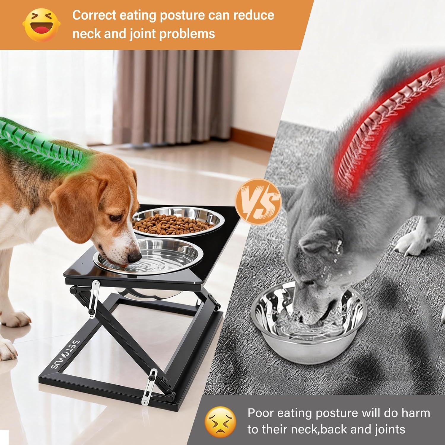 Elevated Dog Bowls, Adjustable Raised Dog Bowl Stand with 2 Stainless Steel Food Bowls 20°Tilted Water Bowls for Small Sized Dogs and Cats (Black, Small)
