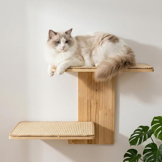 Cat Wall Shelves, Wall Mount Adult Cat Tree