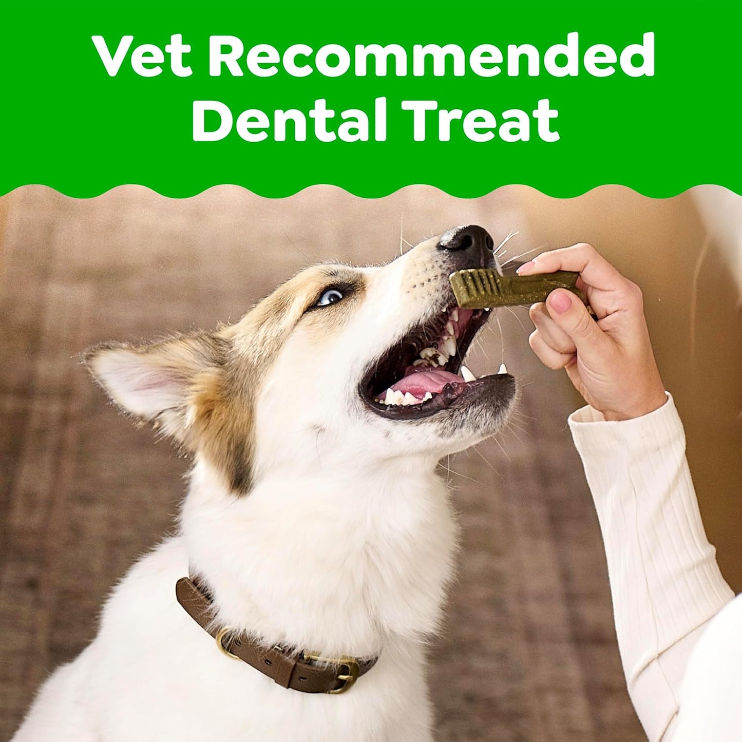 Greenies Veterinarian-Recommended Adult Natural Dental Dog Treats Teenie Size, Dog Dental Chews, Original Flavor, 12 Oz. Pack, 43 Count