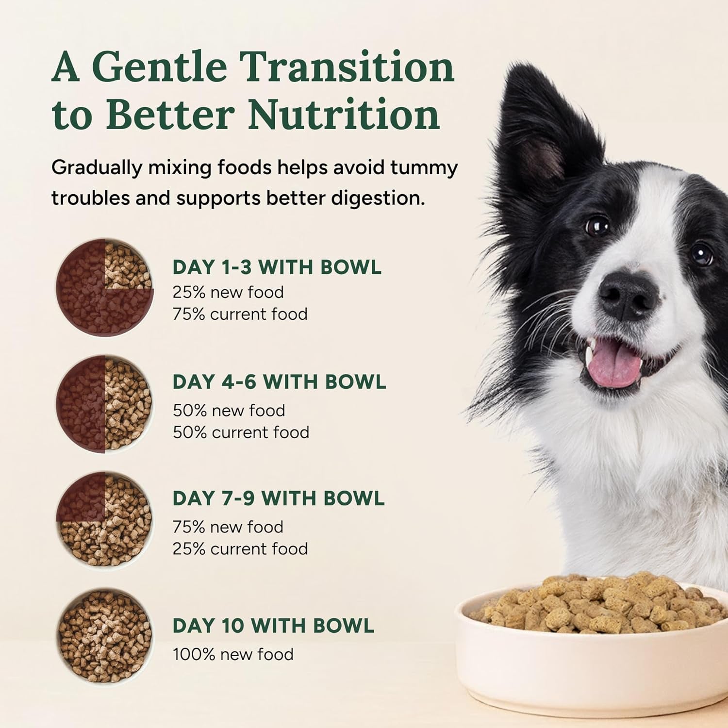 360 Pet Nutrition Freeze-Dried Raw Dog Food – Multi-Protein with Beef, Chicken, Fish, Liver & Organs, High Protein, Omega-3S, Fruits, Veggies & Superfoods, Grain-Free, No Fillers, 1 Lb – Made in USA