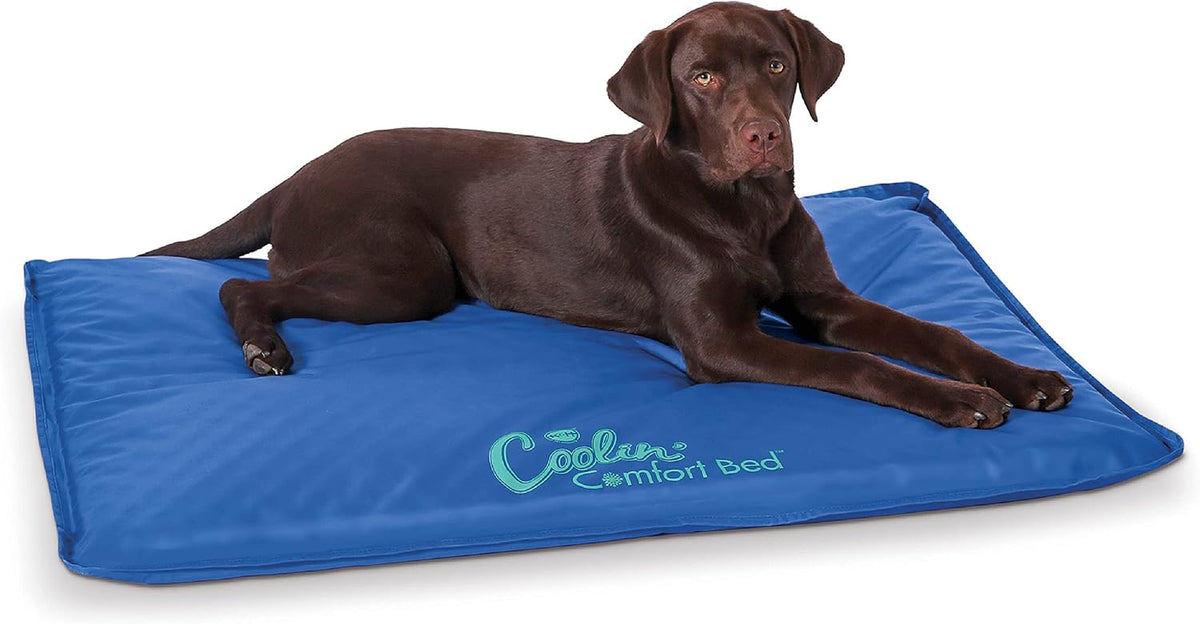 K&H Dog Cooling Mat, Coolin' Comfort Bed- Large 44X32In Chill Blue