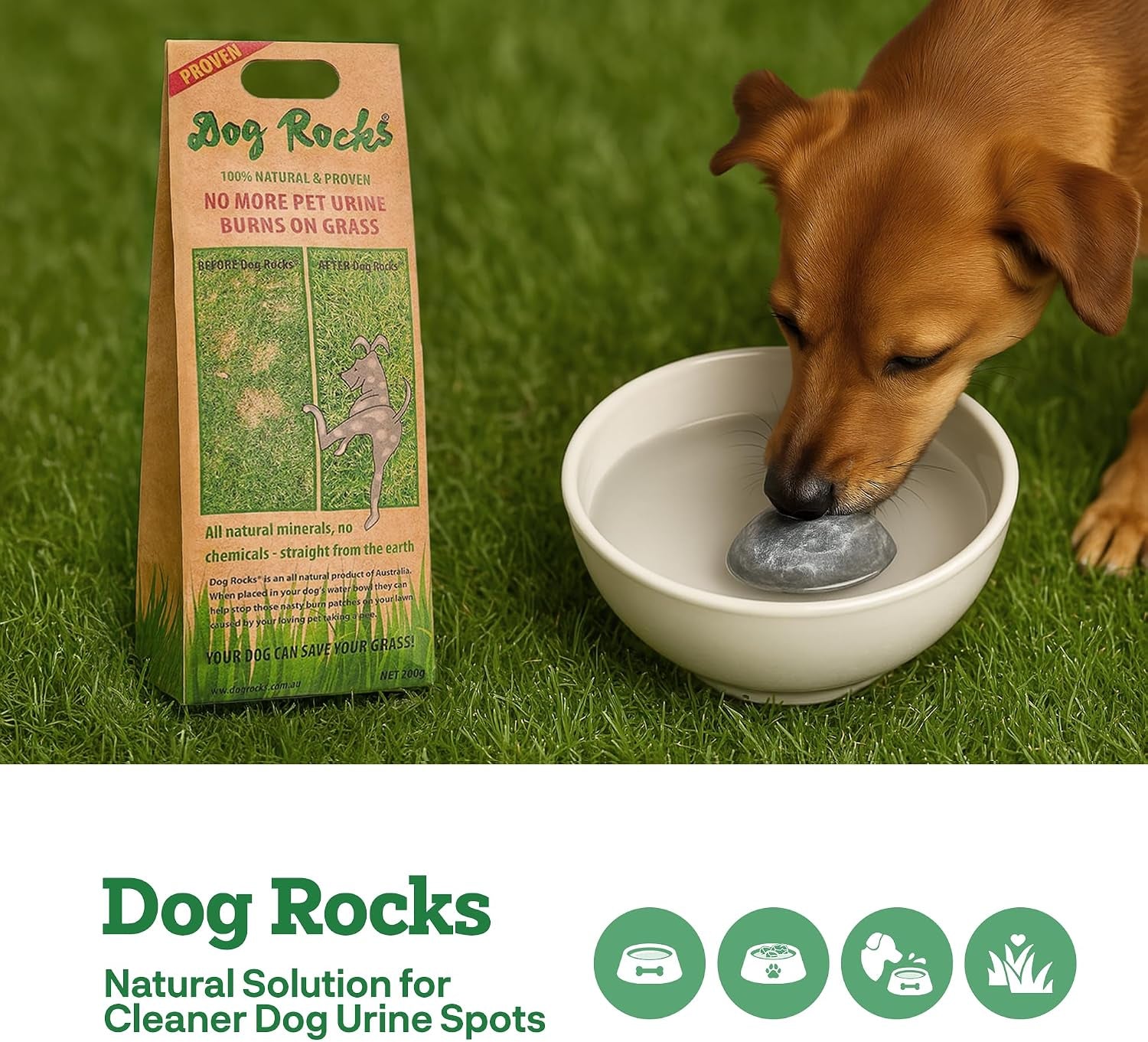 Dog Rocks - Natural Lawn Protector - 600G - Prevents Dog Urine Burn Patches on Grass - Dog Wee Neutraliser for Lawn Repair - Pet Urine Neutralizer for Artificial & Natural Grass