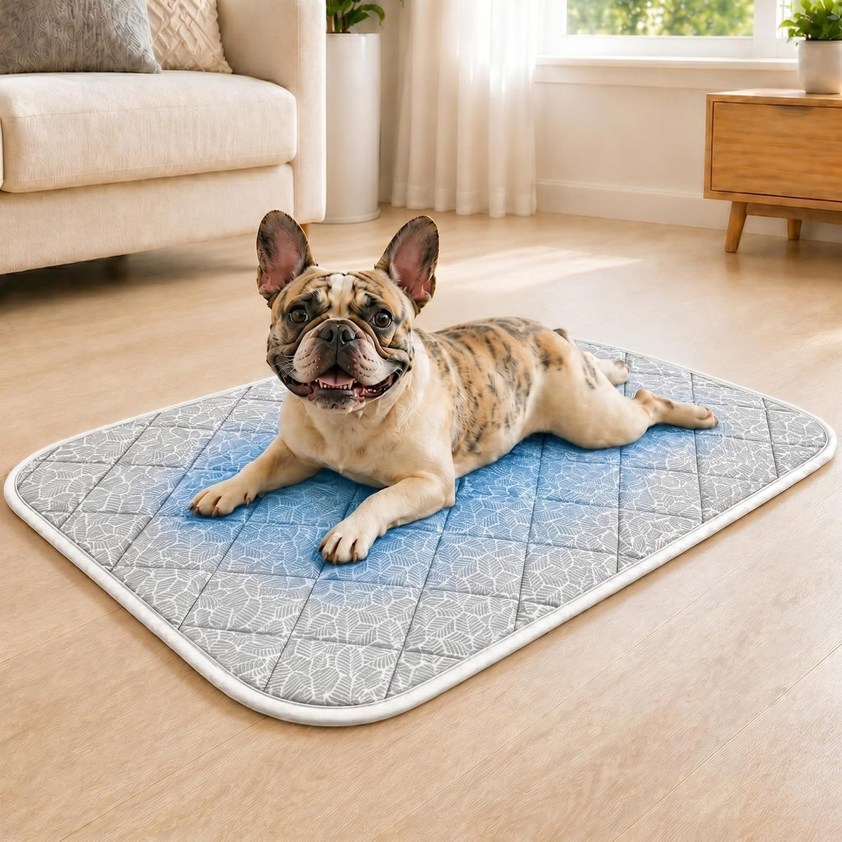 Cooling Mat for Dogs L – Q-Max>0.5, Color-Changing Pad, 36"X24"