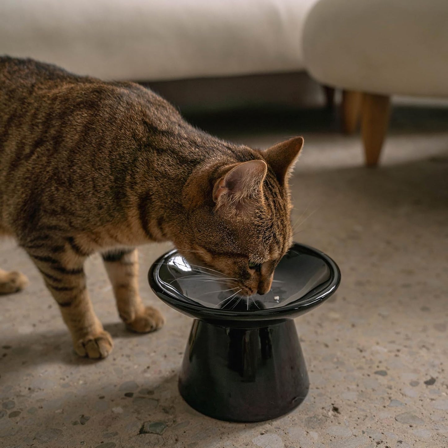 Flat Top Ceramic Bowl for Cats - Black - 7.5Oz Capacity, Stylish Pet Safe Feeding Dish, Dishwasher Safe, Food & Water, Scratch Resistant
