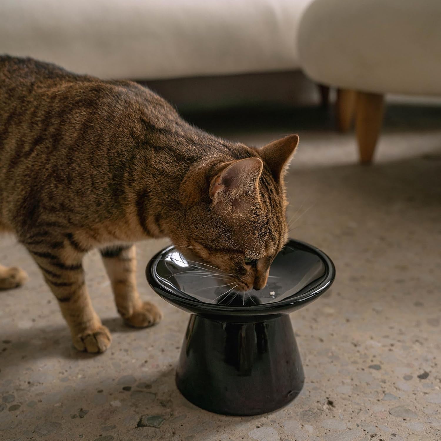 Flat Top Ceramic Bowl for Cats - Black - 7.5Oz Capacity, Stylish Pet Safe Feeding Dish, Dishwasher Safe, Food & Water, Scratch Resistant
