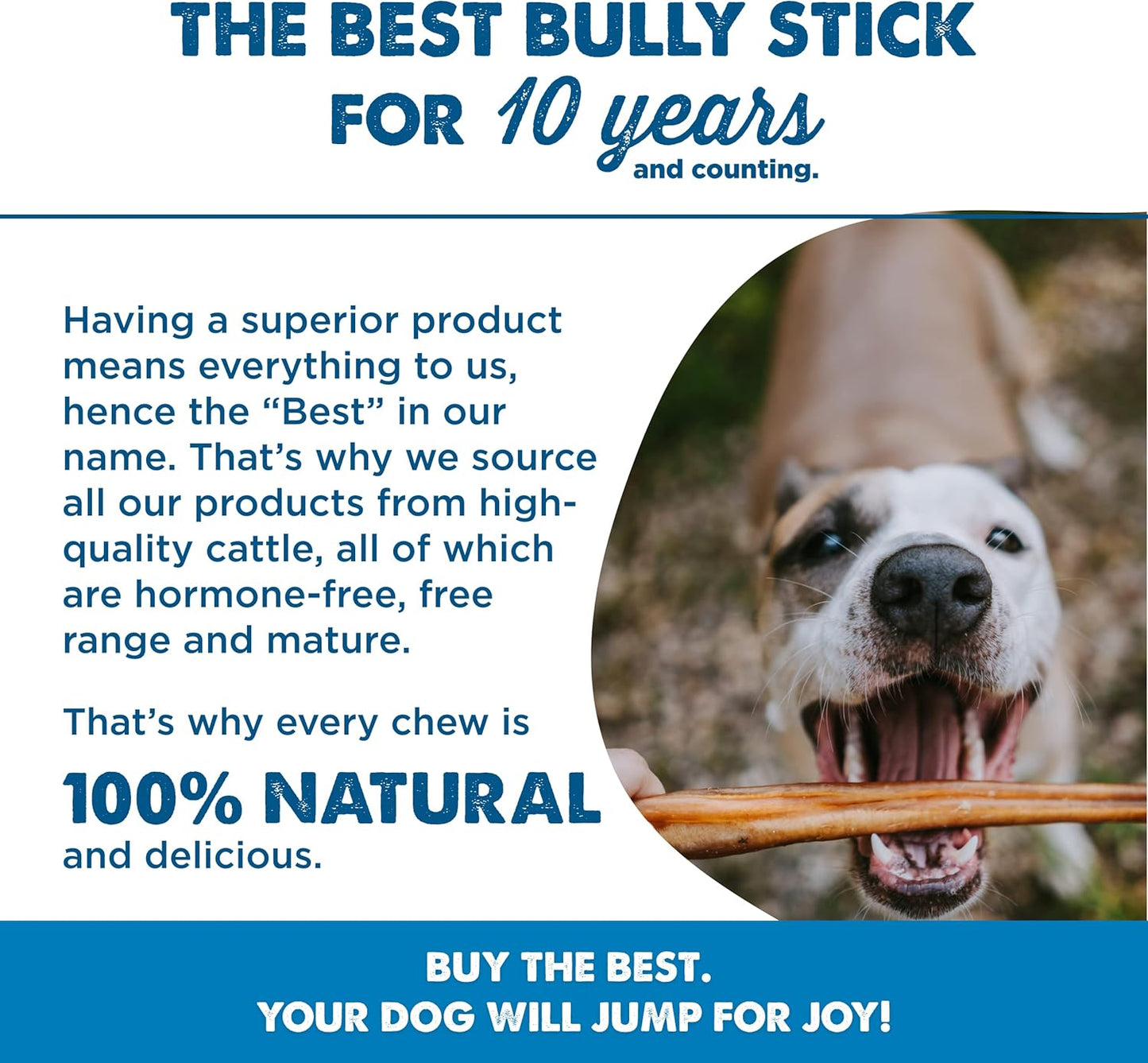 Best Bully Sticks Odor-Free Junior Bully Sticks for Dogs - 4-8 Inch 16 Oz (Pack of 1) - Easily Digestible, 100% Grass-Fed Beef, No Grain or Rawhide