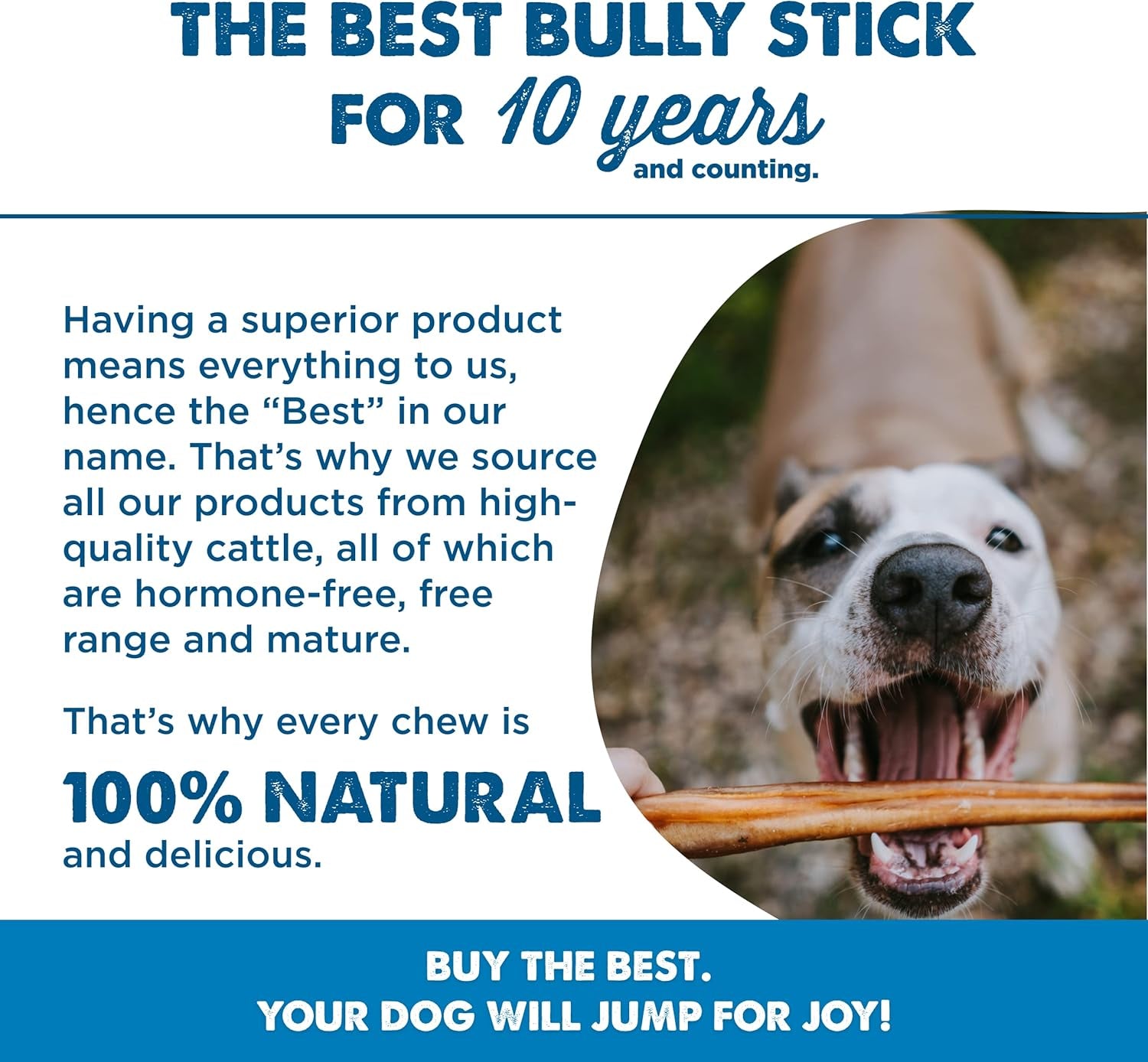 Best Bully Sticks Odor-Free Junior Bully Sticks for Dogs - 4-8 Inch 16 Oz (Pack of 1) - Easily Digestible, 100% Grass-Fed Beef, No Grain or Rawhide