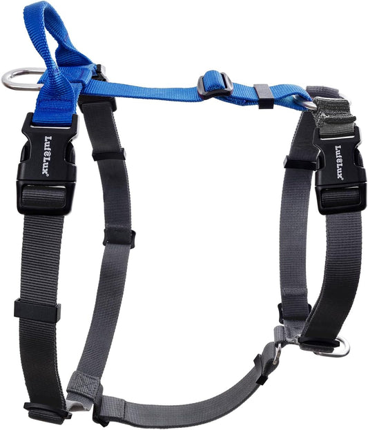 Non-Restrictive No Pull Dog Harness, Blue/Black, X-Large