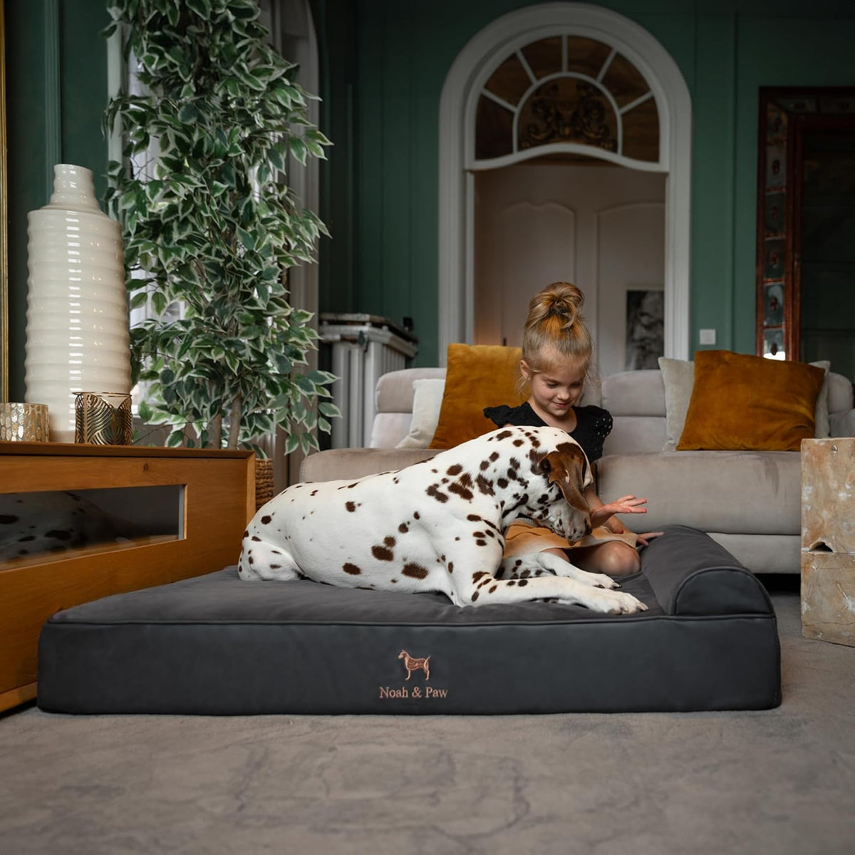 NOAH & PAW XL Dog Bed, 45X35X9.1 Inch, Orthopedic Large Dog Beds, Eggshell Memory Foam Infused with Cooling Gel, Water Resistant, Machine Washable, Includes Inner Cover