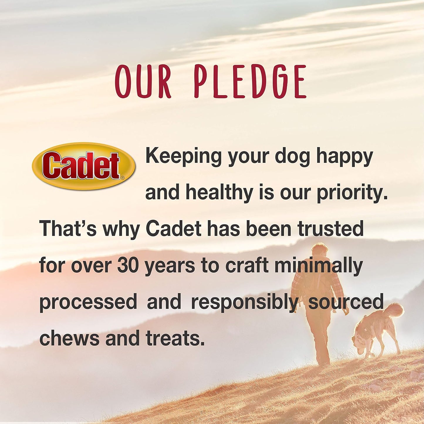 Cadet Gourmet Shish Kabob Dog Treats for Large Dogs, Healthy & Natural Chicken & Sweet Potato Chew Sticks, Beef Hide, Extra Large 10 Inch, 4 Count (Pack of 1)