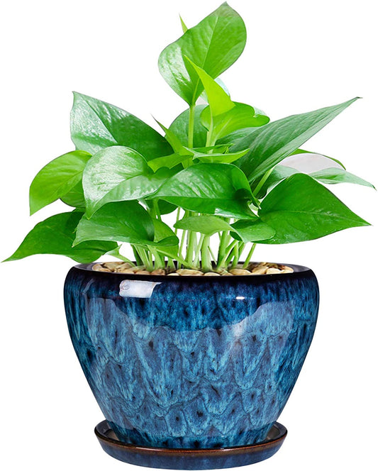 Ceramic Modern Glaze Succulent Planter Pot with Drainage Hole and Saucer 6 Inch round Flower Plant Pot for Indoor Outdoor Herb Snake Plants