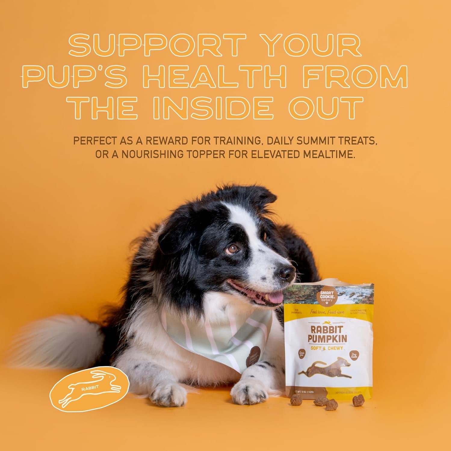 Smart Cookie All Natural Dog Treats - Rabbit & Pumpkin - Training Treats for Dogs & Puppies with Allergies, Sensitive Stomachs - Soft Dog Treats, Grain Free, Chewy, Human-Grade, Made in USA - 5Oz Bag