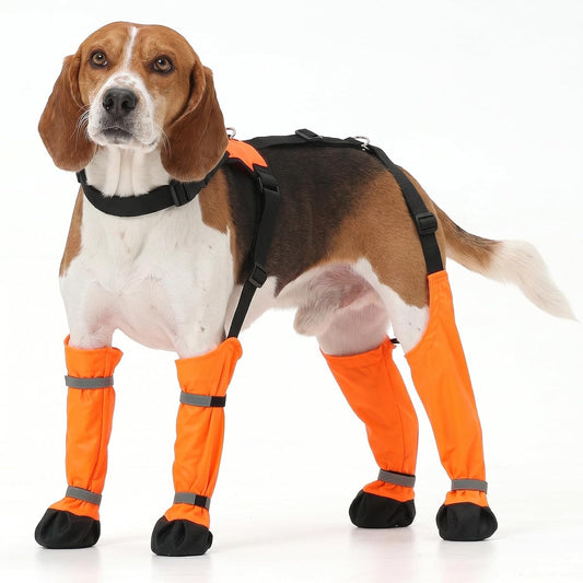 Waterproof Dog Boots with Adjustable Suspender & Harness,L
