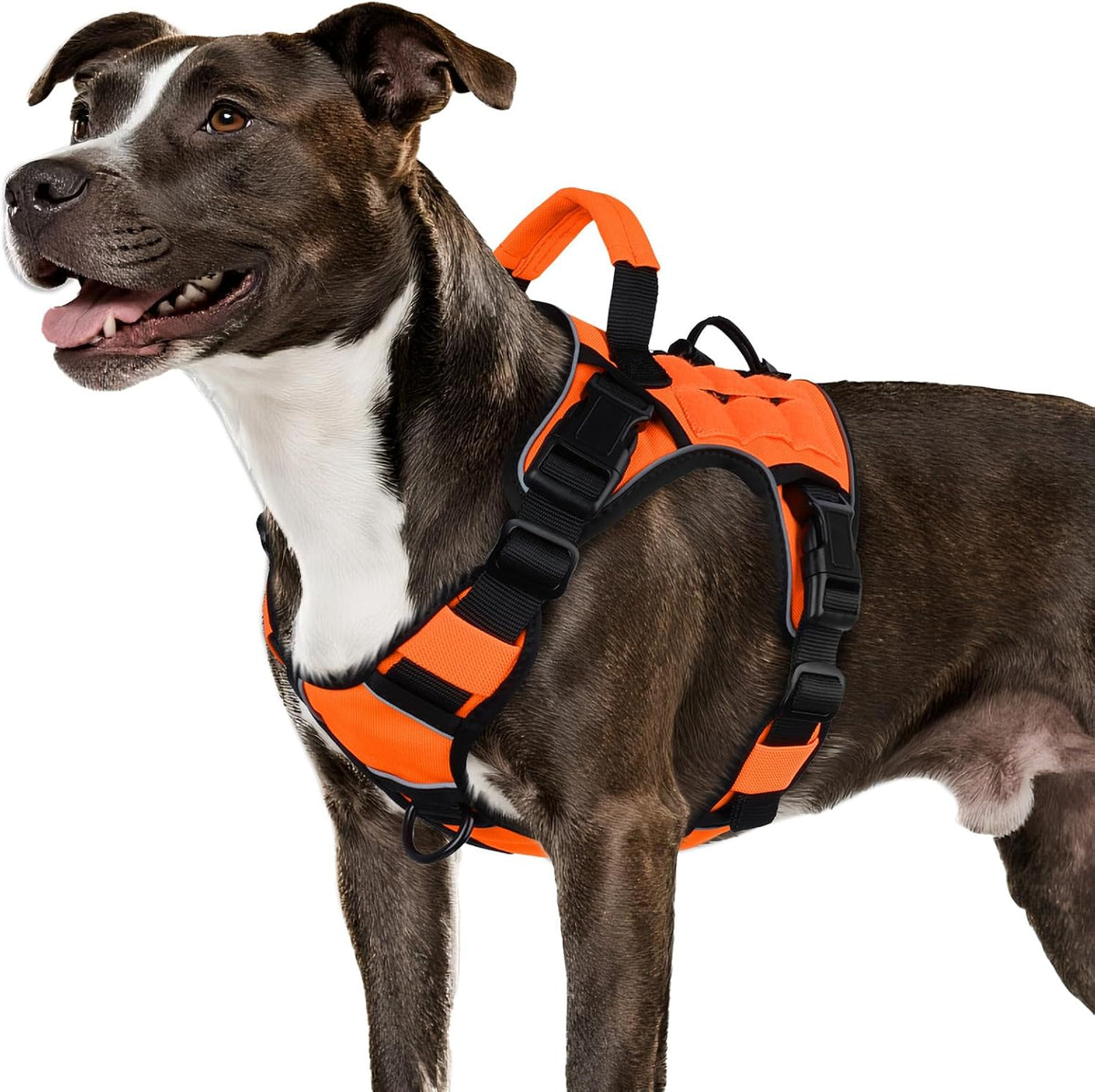 Orange Tactical Dog Harness for Medium Dogs,No Pull Dog Harness