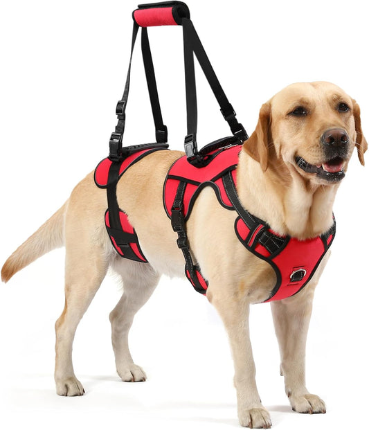 NOYAL Dog Lift Harness, Full Body Support Sling, M/L Breeds