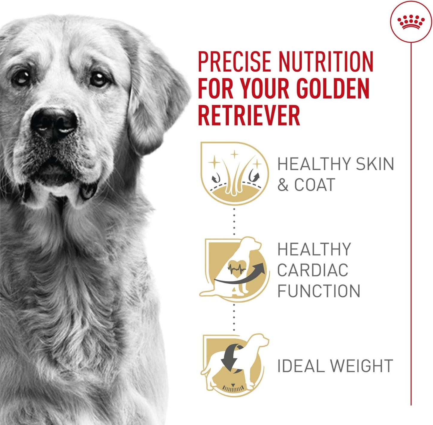 Royal Canin Breed Health Nutrition Golden Retriever Adult Dry Dog Food, 17 Lb Bag