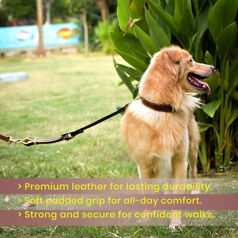 Leather Dog Collar for Small Medium Large Dog - Soft Padded Puppy Collars, Classic Heavy Duty Dog Collar Rust Proof Metal Buckle Dog Collar, (Brown, L) Fits 18, 19, 20 & 21 Inches