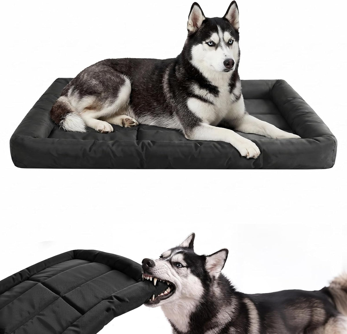 Chew Resistant Dog Bed, Indestructible Orthopedic Dog Bed, Medium (22"X35")