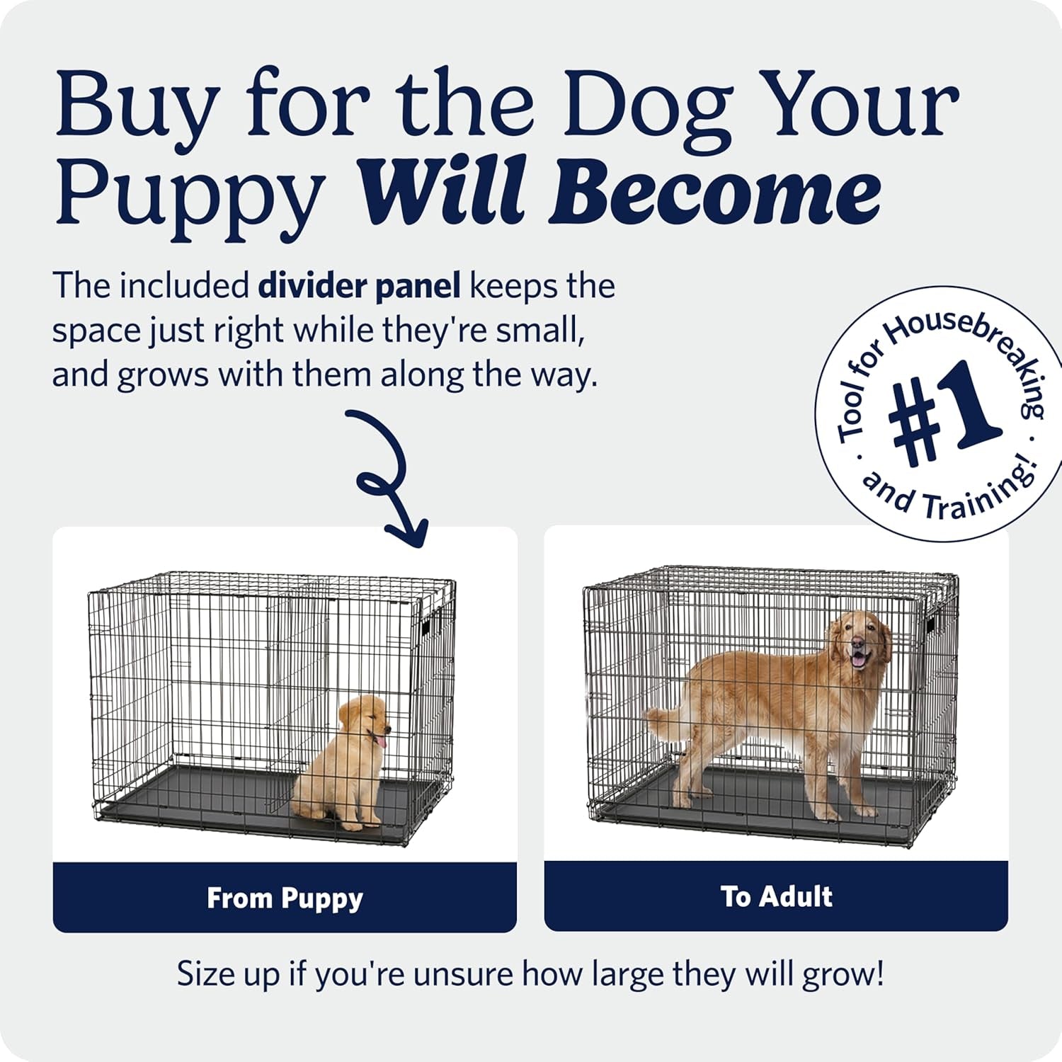 Midwest Homes for Pets 30-Inch Icrate for Medium Breeds, 21-40 Lbs, Single Door Folding Dog Crate with Divider Panel, Leak-Proof Tray & Secure Latch, Portable, Durable & Easy to Assemble